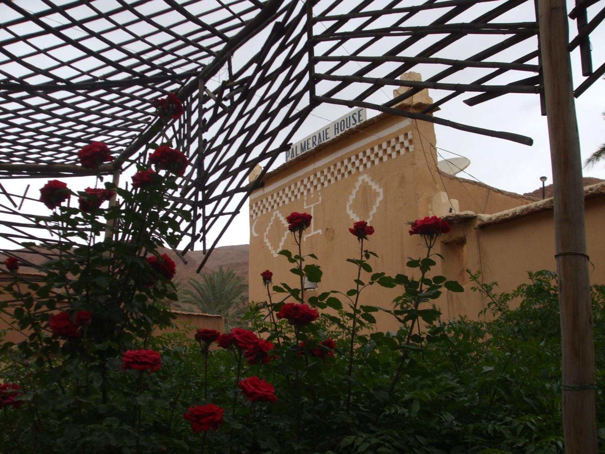Palmeraie Guest House Tinghir Exterior foto