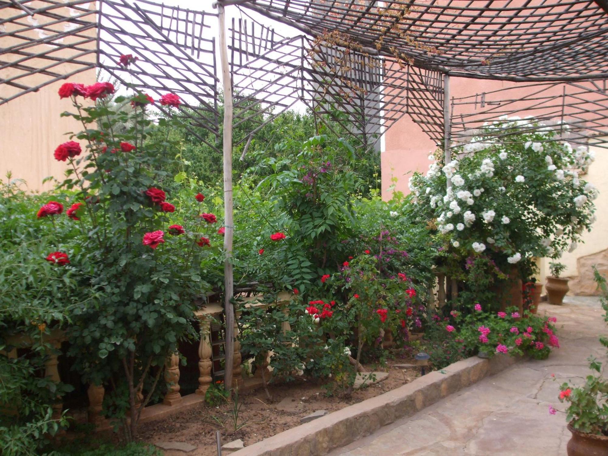 Palmeraie Guest House Tinghir Exterior foto